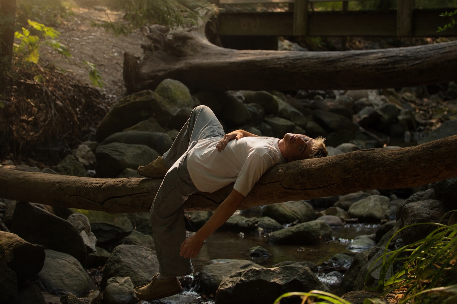 A person reclining on a fallen tree above a woodland stream.